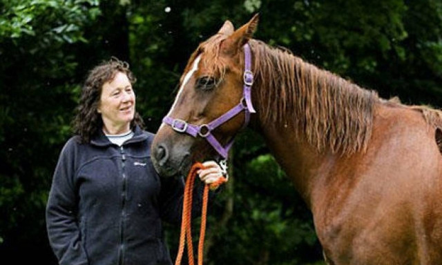 Αυτό είναι το πιο περίεργο άλογο του κόσμου! Αυτό που έχει στην πλάτη του θα σας σοκάρει (pics+vid)