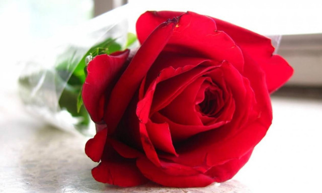 Θλίψη στο Hollywood: Πέθανε πασίγνωστη ηθοποιός