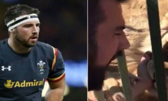 Συγκλονιστικό βίντεο – Λιοντάρι άρπαξε το χέρι διάσημου αθλητή