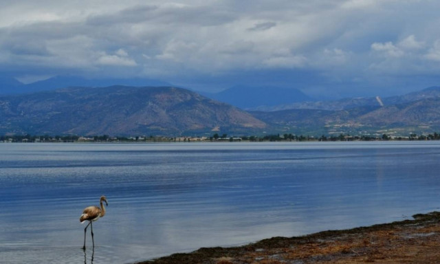 Weather forecast: Mostly fair on Tuesday (03/10/2017)