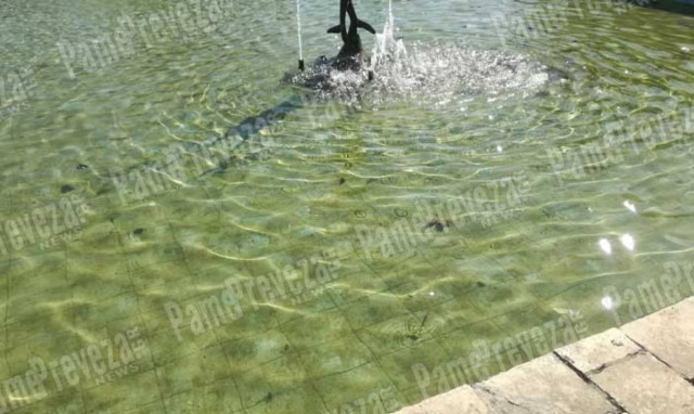 Το πράσινο στην Πρέβεζα ξεκίνησε από το… σιντριβάνι!!! - Βίντεο αφιερωμένο!!