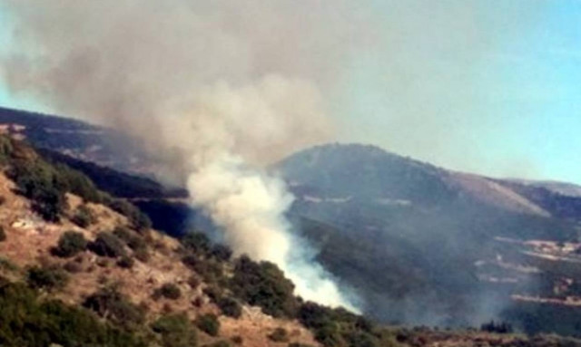 Φωτιά ΤΩΡΑ: Πύρινος εφιάλτης στην Παλαιοκαρυά