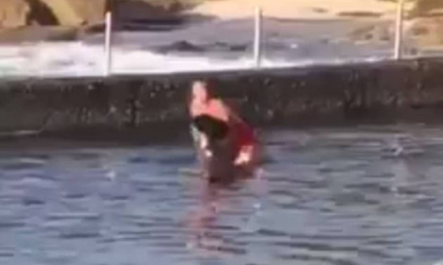 Ατρόμητη! Πήρε αγκαλιά τον καρχαρία για να τον σώσει (vid)