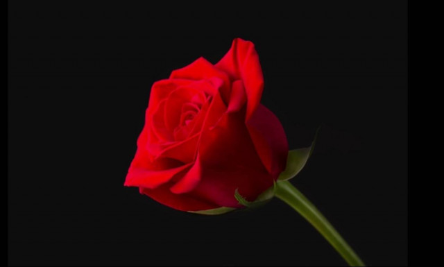 Θρήνος για το θάνατο της Γεωργίας Κανελλοπούλου