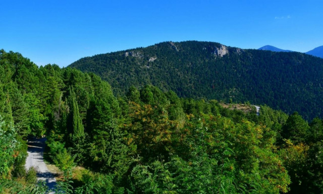 Απόδραση - αστραπή στην ορεινή Κορινθία: Το χωριό Καστανιά που θα σας κλέψει την καρδιά