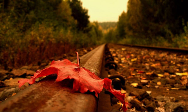 Καιρός: Ανησυχία για την παρατεταμένη ανομβρία – Πότε θα βρέξει ξανά