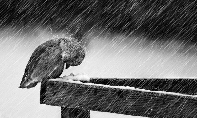 Αλλάζει ο καιρός! Έρχονται ισχυρά φαινόμενα – Πότε και πού θα εκδηλωθούν