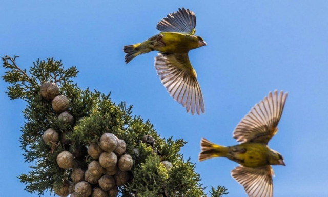 Clear skies forecast throughout Greece on Saturday (21/10/2017)