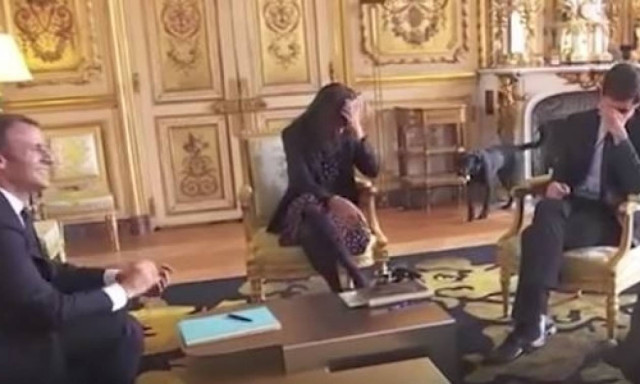 Η αμήχανη στιγμή που ο σκύλος του Μακρόν κάνει... την ανάγκη του στο Μέγαρο των Ηλυσίων! (vid)