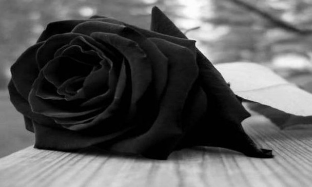 Θλίψη: Πέθανε η ηθοποίος Rosemary Leach