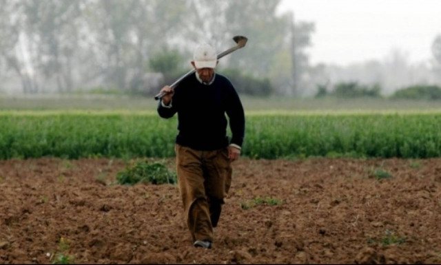 Αγρότες: Ξεκινούν οι πληρωμές - Δείτε ποιοι θα πάρουν χρήματα και πότε