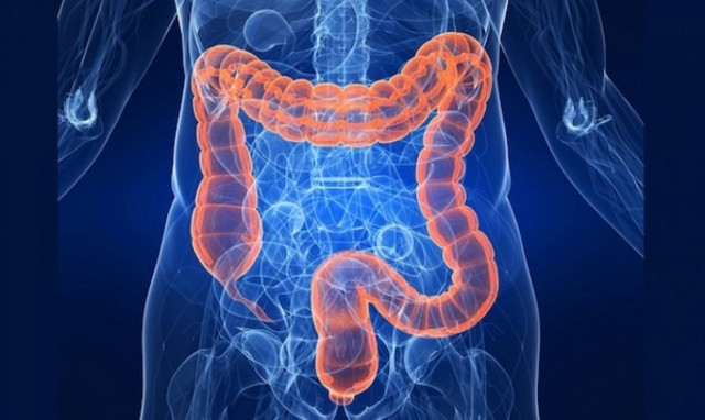 Κολονοσκόπηση: Σημαντική εξέταση για τη ζωή σας