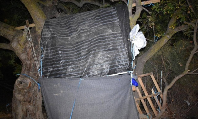 Εικόνες ντροπής στη Χίο: Πρόσφυγες σκαρφάλωσαν στα δέντρα για να προστατευτούν από τα λασπόνερα