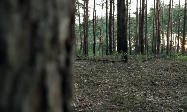 Σύζυγος και ερωμένη έβαλαν να τον απαγάγουν, να τον δείρουν και να τον αφήσουν γυμνό στο δάσος!