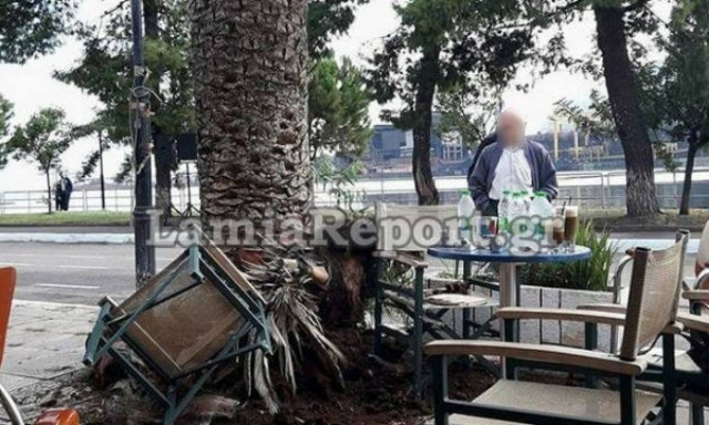 Φθιώτιδα: Κομμάτι από φοίνικα έπεσε στο κεφάλι γυναίκας