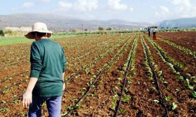 Βοήθημα 1.000 ευρώ σε 1.300 πολύτεκνες αγρότισσες - Όλες οι προϋποθέσεις και η διαδικασία