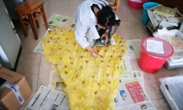 Τουαλέτα από... 6.000 φύλλα!