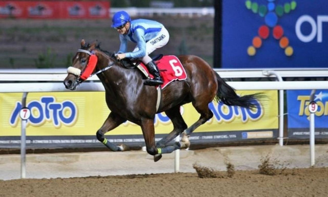 Βραδινό πρόγραμμα στο Μαρκόπουλο με πέντε ιπποδρομίες