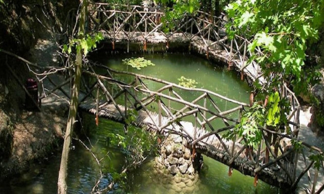 Σημαντική ανακάλυψη στην Ελλάδα: Νέος είδος εντόμου εντοπίστηκε στη Ρόδο