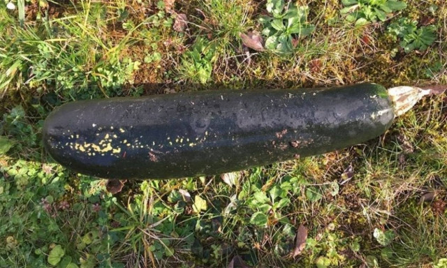 Απίστευτη αναστάτωση: Μπέρδεψε κολοκύθι με... βόμβα του Β’ Παγκοσμίου Πολέμου!