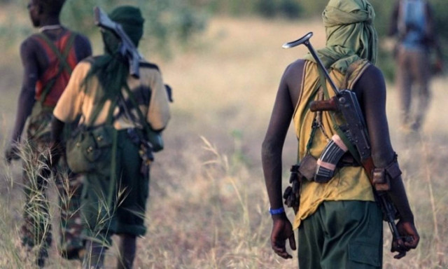 Νέα κτηνωδία με έξι νεκρούς στην Νιγηρία σε επίθεση της Μπόκο Χαράμ