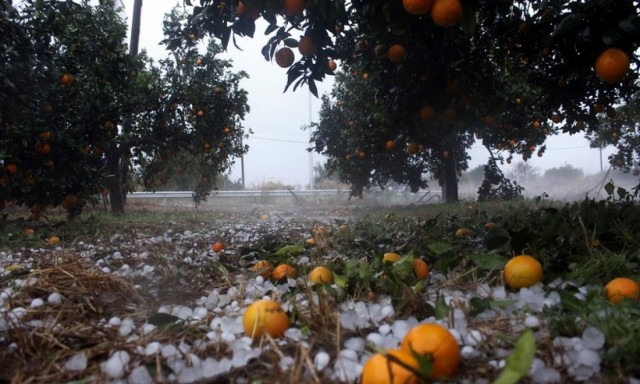 ΕΛΓΑ: Άμεση καταγραφή των ζημιών από τη χαλαζόπτωση στην Πελοπόννησο ζήτησε ο Τατούλης