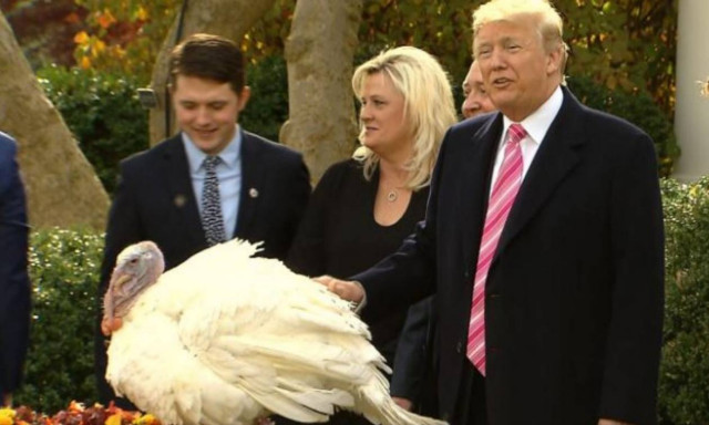 Ημέρα των Ευχαριστιών - Ντράμστικ: Αυτή είναι η γαλοπούλα που έσωσε ο Ντόναλντ Τραμπ (pics)