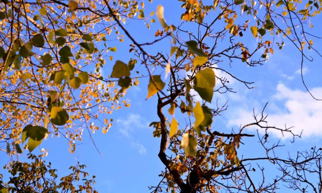 Καιρός: Πού θα αγγίξει τους -3 ο υδράργυρος την Πέμπτη (23/11) – Αναλυτική πρόγνωση