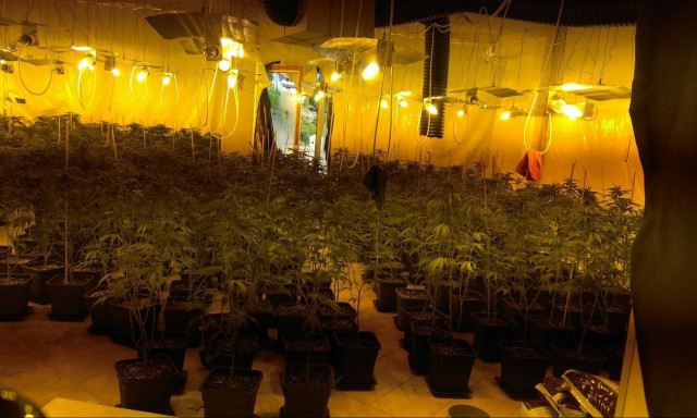 Αμύθητης αξίας η ακατέργαστη κάνναβη που έκρυβε στις πολυτελείς βίλες το καρτέλ ναρκωτικών (pics)