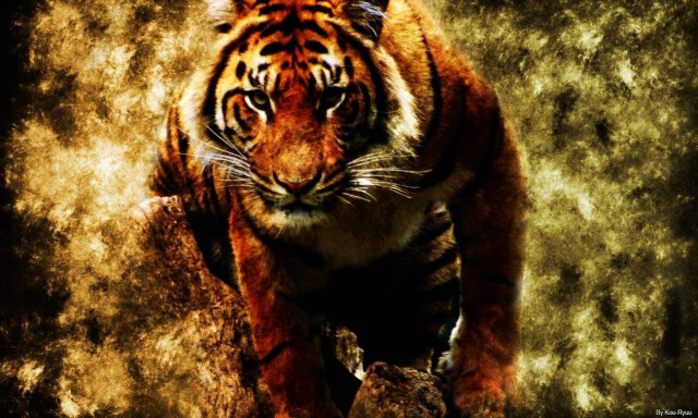 Πανικός στο Παρίσι: Άγρια τίγρη το έσκασε από τσίρκο (Pic)