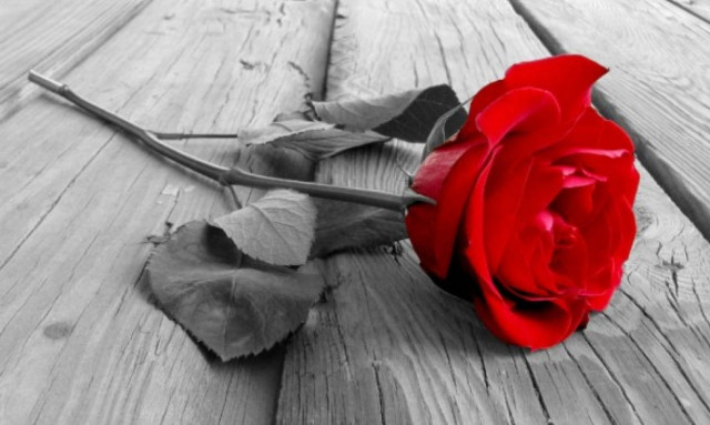 Θρήνος για 14χρονη μαθήτρια που πέθανε μετά από χειρουργική επέμβαση στο κεφάλι