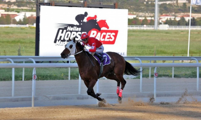 Φουλ δράση στο Μαρκόπουλο – Οκτώ κούρσες, δυνατοί ίπποι και νέες αφίξεις στο στίβο