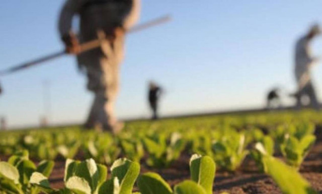 Σήμερα (1/12/17) οι αποζημιώσεις σε κτηνοτρόφους και αγρότες