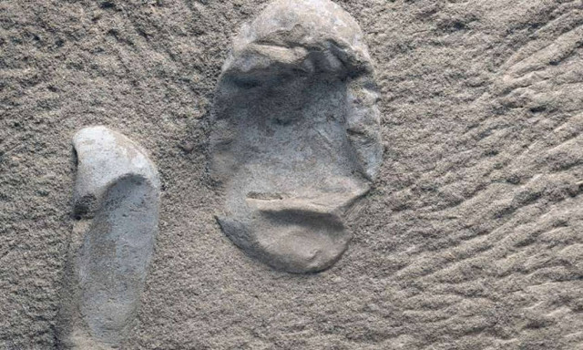 Σπουδαία ανακάλυψη στην Κίνα: Βρέθηκαν πολλά απολιθωμένα αυγά πτερόσαυρων με έμβρυα