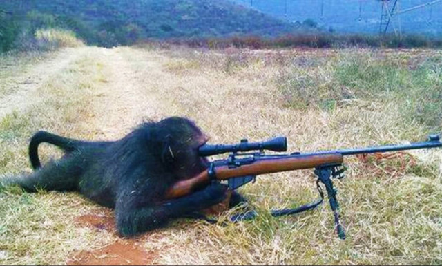 Viral: Αυτά είναι τα καλύτερα Fail βίντεο του Νοεμβρίου (Πρόσεχε! Είναι ζούγκλα εκεί έξω)