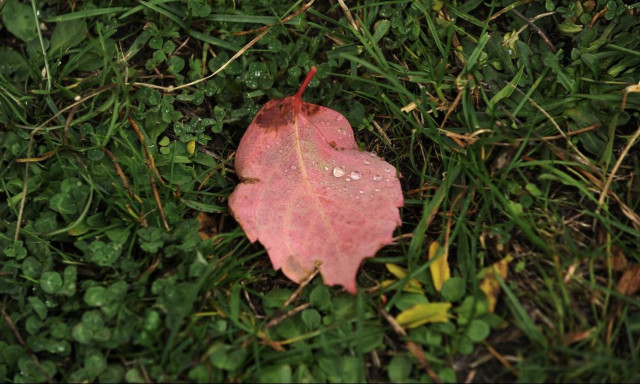 Weather forecast: Scattered rain on Sunday