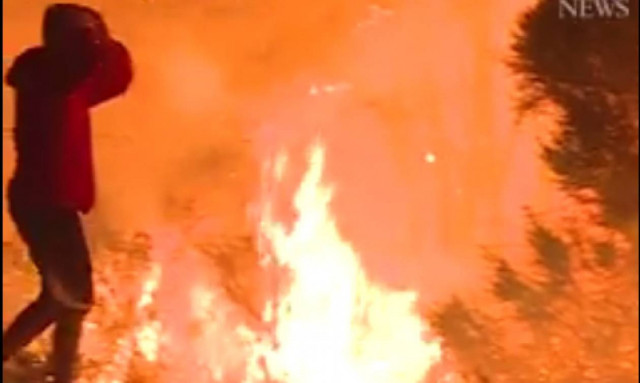 Ο ήρωας της Καλιφόρνιας: Σώζει με αυτοθυσία κουνέλι από την καταστροφική πυρκαγιά (vid)