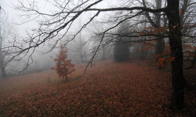 Weather forecast: Rain on Saturday