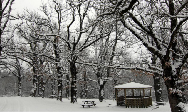 Καιρός - Χιονιάς: «Βουτιά» του υδράργυρου έως και 10 βαθμούς – Πού θα το στρώσει