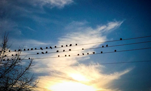 Weather forecast: Mostly fair on Saturday (30/12/2017)