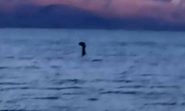 Μυστήριο στη Μεγάλη Πρέσπα: Εμφανίστηκε το «Τέρας του Λοχ Νες» (video)