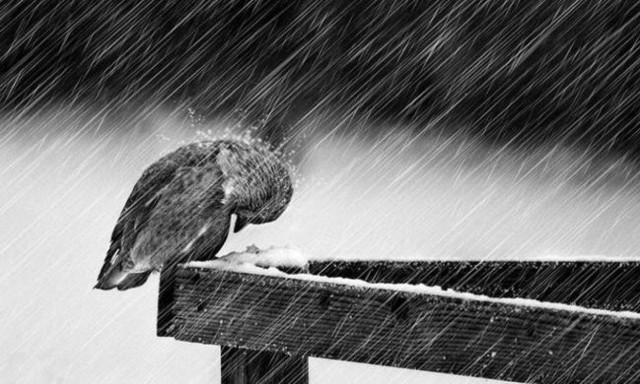 Weather forecast: Rain on Wednesday (03/01/2018)