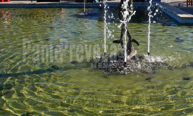 Πρέβεζα: Δείτε το συντριβάνι του τρόμου!