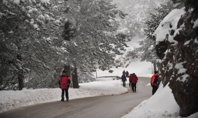 Καιρός Τώρα: Χιονίζει στην Πάρνηθα - Δείτε Live εικόνα
