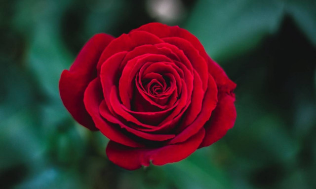 Θλίψη: Πέθανε ο ποιητής Θεοκλής Κουγιάλης