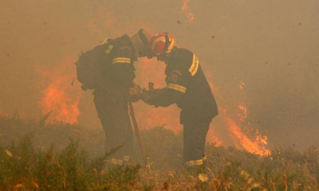 «Η ΔΕΗ έκαψε τον Κάλαμο»: Πόρισμα - «βόμβα» της Πυροσβεστικής (pics)