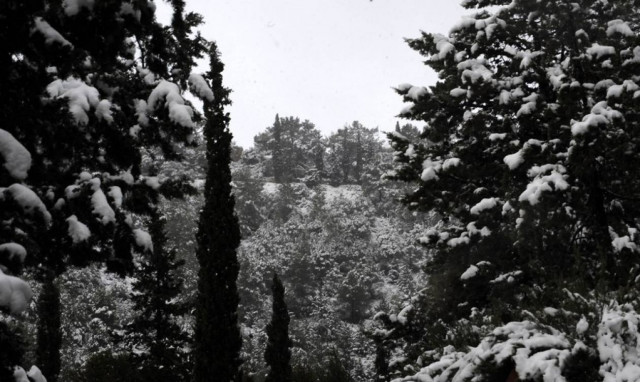 Θρίλερ στο Πήλιο: Αγνοείται ιδιοκτήτης ραδιοφωνικού σταθμού του Βόλου