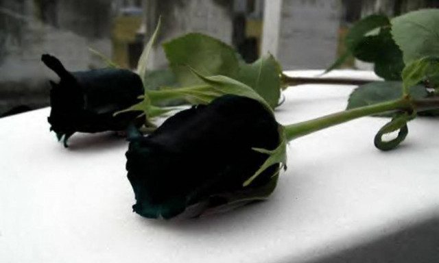 «Έφυγε» το γελαστό παιδί: Ανείπωτος πόνος για τον θάνατο του Παναγιώτη Γιαννικόπουλου