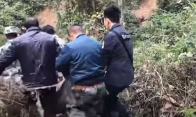 Αγωνιώδης επιχείρηση διάσωσης για ελεφαντάκι που έπεσε από ύψος 60 μέτρων! (vid)