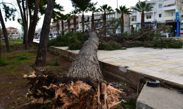 Κακοκαιρία: Στο έλεος των μποφόρ η χώρα (pics&vids)